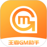 王者GM助手app v8.3.5 最新版