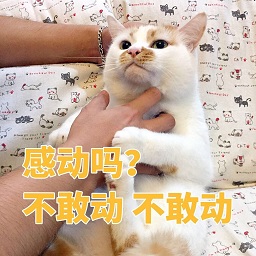 感动吗不敢动表情包下载-你感动吗我不敢表情包下载