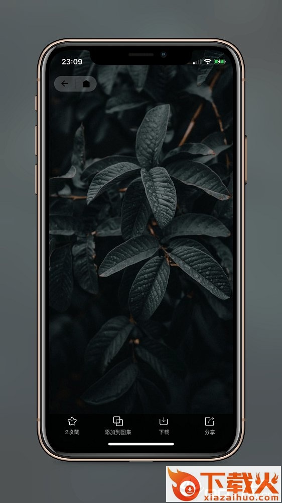 纸塘壁纸app截图1