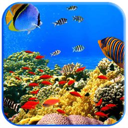 热带鱼水族箱屏幕保护程序官方下载-热带鱼水族箱屏幕保护程序下载v3.3 汉化版