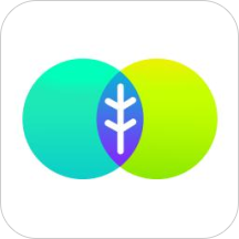 网易薄荷视频 v2.8.2 安卓版