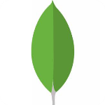 nosql manager for mongodb v5.0.0.6 