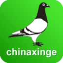 中国信鸽信息网各地协会软件-中国信鸽信息网app下载v20220618 最新版