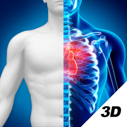3D人体解剖图谱app v2.0.7 最新版