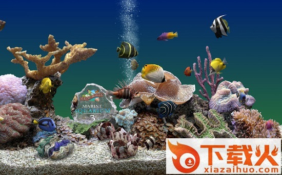 3d热带鱼屏保