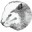 dbeaver官网下载-DBeaver(多数据库管理工具)下载V3.1.3 官方最新版