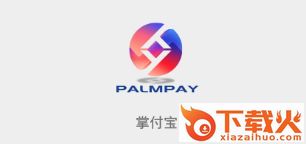 掌付宝截图3
