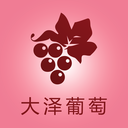 大泽葡萄app下载-大泽葡萄v1.0 安卓版