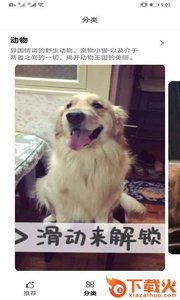 魔法梦幻动态壁纸截图2