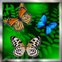 蝴蝶动态主题下载-Butterfly Live Wallpaper蝴蝶动态主题v1.1 安卓版