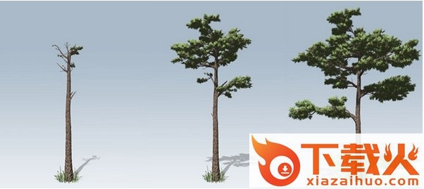 Speedtree中文版