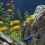 梦幻水族馆屏保下载-梦幻水族馆屏保汉化版下载v1.234 中文免费版