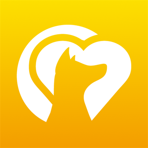 小犬智能 v1.0.0 安卓版