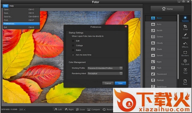 fotor照片编辑器