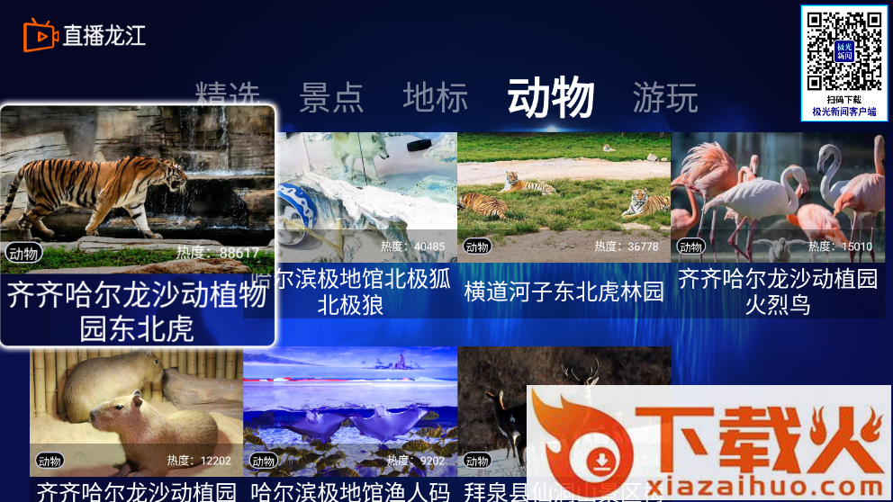 直播龙江黑龙江电视台截图2