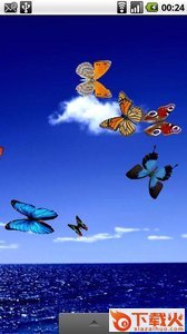 Butterfly Live Wallpaper蝴蝶动态主题截图1