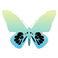 蝶宇宙app v1.0.5 安卓版