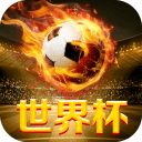 俄罗斯世界杯 v1.0 安卓版 俄罗斯世界杯 v1.0 安卓版