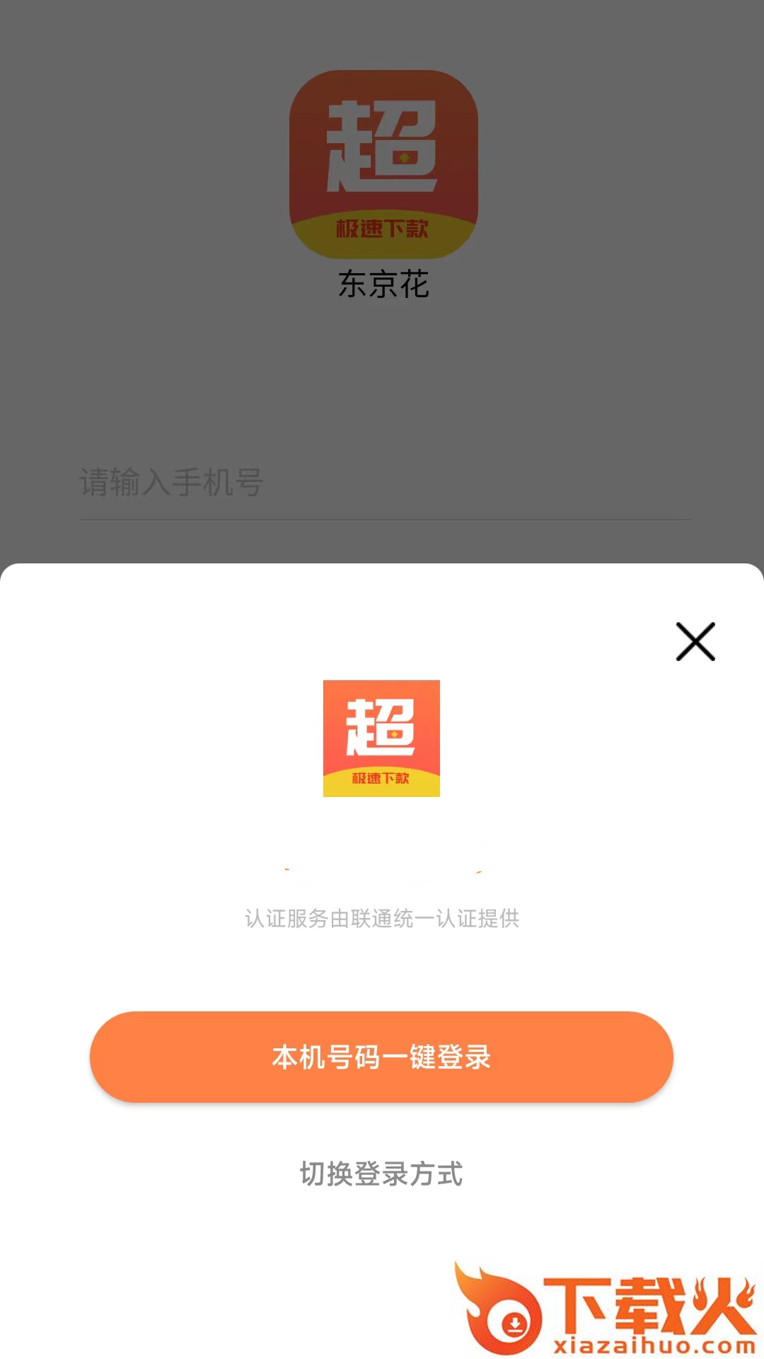 东京花截图2