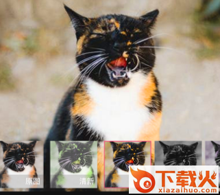 一键加水印大师下载安装截图3