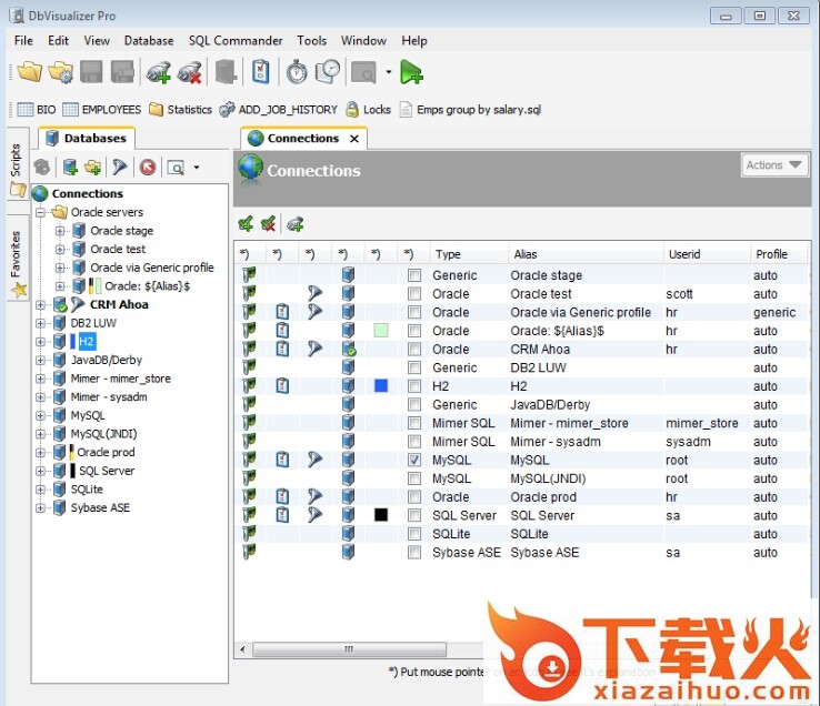 dbvisualizer pro