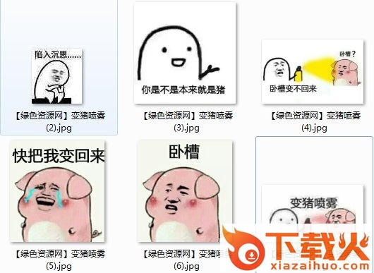 变猪喷雾表情包