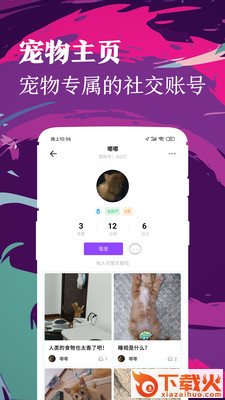 铲屎官截图1