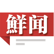 鲜闻ios版-鲜闻iPhone手机版(新闻阅读)(暂未上线)v3.7.3 官网苹果版