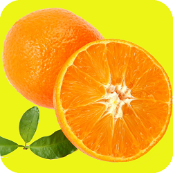 爱媛特效相机下载 v1.0.1 手机版