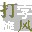 打字旋风 v1.0 绿色版 