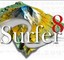surfer11汉化正式版 64位 v11.0.642 免费版 