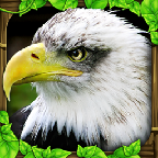 模拟猎鹰游戏下载-Eagle Simulator(模拟猎鹰)v1.0 安卓版