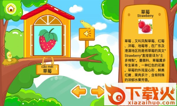 儿童宝宝认水果截图2