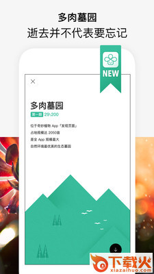 奇妙植物截图1
