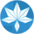 枫叶美食大战老鼠辅助 v1.3 最新版 枫叶美食大战老鼠辅助 v1.3 最新版