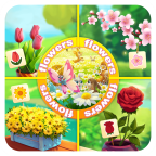 亿万花园小院 v1.0 安卓版