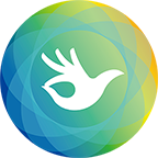 手之声 v4.2.3 最新版