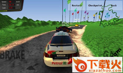 拉力冠军赛3(Rally Champions 3)截图2
