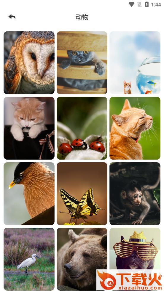 动态桌面app截图1