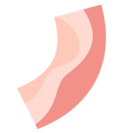 Bacon(培根配万物) v1.0 安卓版