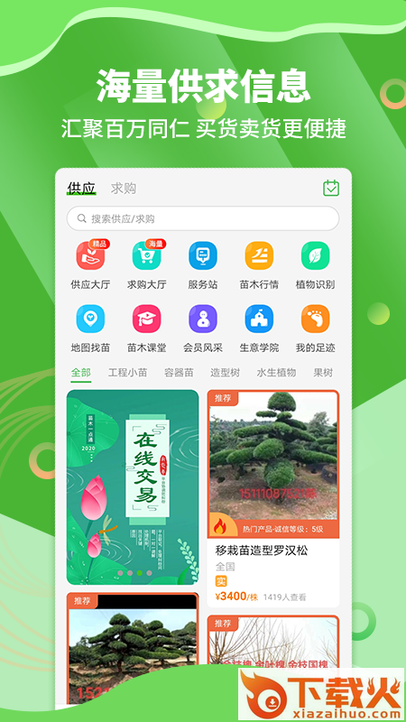 苗木通截图1