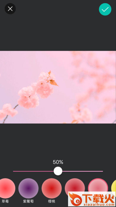 Palette Paris(Taco粉色相机app官方下载)截图2