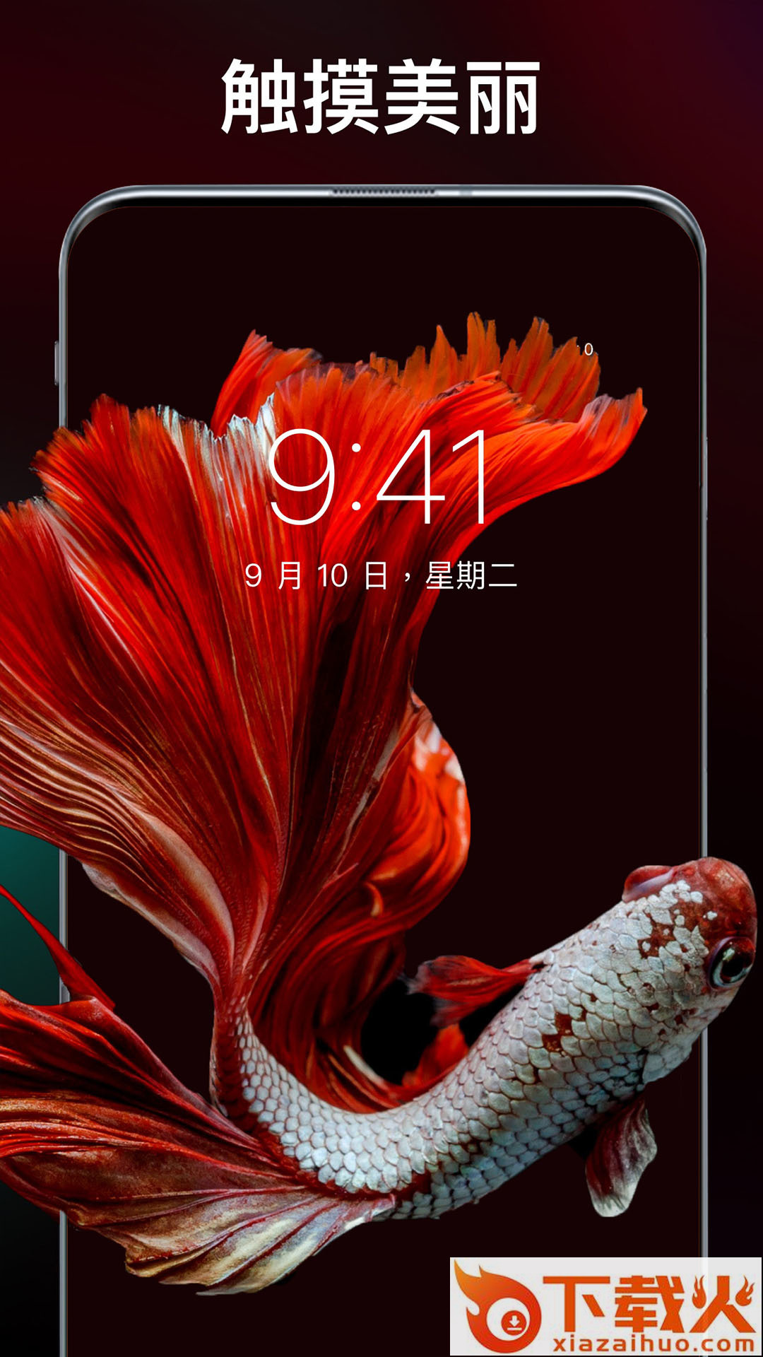 主题刘海壁纸手机软件截图2