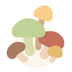 树洞菌 v1.0.3 安卓版