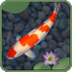 鲤鱼水塘动态主题下载-aniPet Koi Live Wallpaper鲤鱼水塘动态主题v1.2.0 安卓版