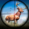 地铁猎鹿人Subway Deer Hunter v1 最新版