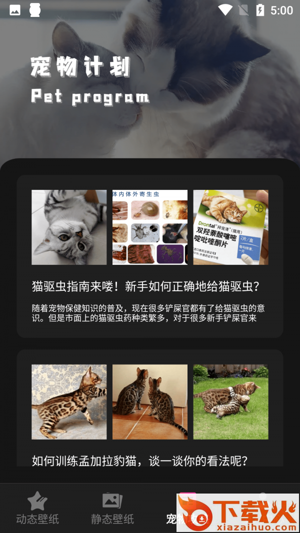 猫咪壁纸app截图1