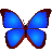 bkViewer图像浏览软件 v7.2 免费版 