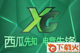 西瓜先知截图3
