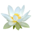 天书世界莲花辅助下载-莲花天书世界辅助下载v4.7.1 最新版